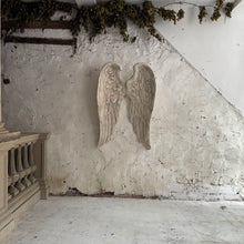 Load image into Gallery viewer, French Plâtre Wings