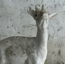 Load image into Gallery viewer, Pair Of 20th Century French Stone Deer Garden Statues