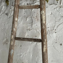 Load image into Gallery viewer, Late 19th Century French Apple Ladders