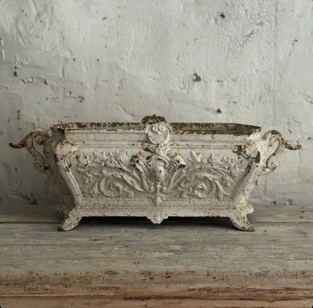 Early 19th century French Cast Iron Jardinere