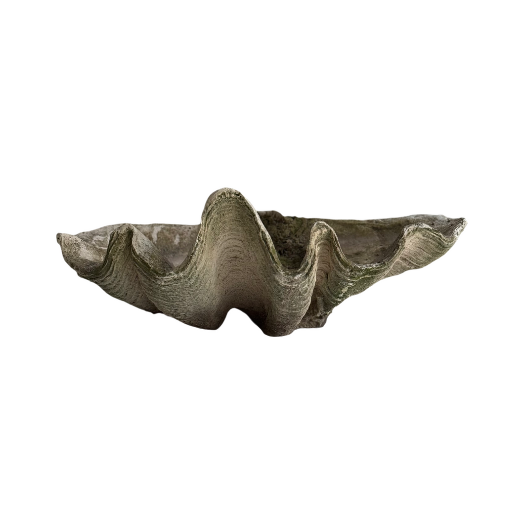 20th Century French Clam Shell