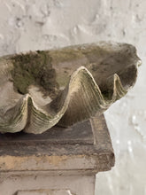 Load image into Gallery viewer, 20th Century French Clam Shell