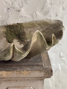 20th Century French Clam Shell