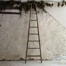 Load image into Gallery viewer, Late 19th Century French Apple Ladders