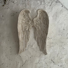 Load image into Gallery viewer, French Plâtre Wings