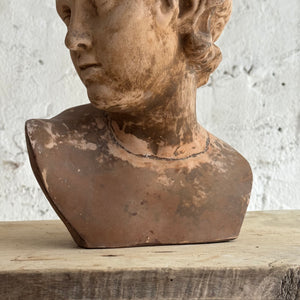 19th Century French Plaster Bust