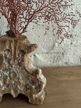 Load image into Gallery viewer, 19th Century French Sea Fan Fragment