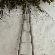 Load image into Gallery viewer, Late 19th Century French Apple Ladders