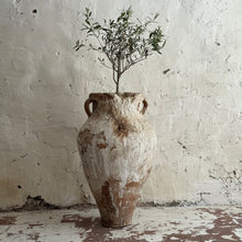 Load image into Gallery viewer, 19th Century French Olive Pot