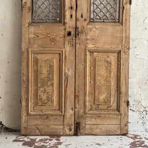 Early 19th Century French Chateau Doors