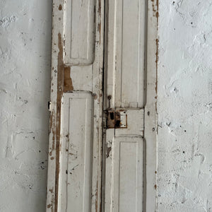 Pair Of 19th Century French Shutter Panels