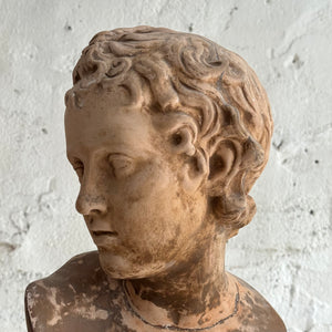 19th Century French Plaster Bust