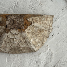 Load image into Gallery viewer, Late 18th Century French Wooden Wall Fragment