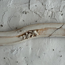 Load image into Gallery viewer, Early 19th Century French Wooden Pediment
