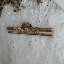 Load image into Gallery viewer, Late 18th Century French Wooden Pediment