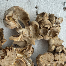 Load image into Gallery viewer, Late 18th Century Italian Wooden Fragment