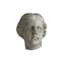 Load image into Gallery viewer, Late 19th Century Venus de Milo Plaster Head