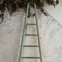 Load image into Gallery viewer, Late 19th Century French Apple Ladders