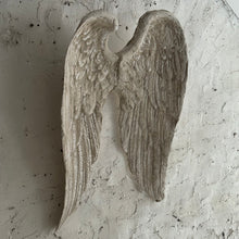 Load image into Gallery viewer, French Plâtre Wings