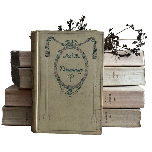 19th Century French Nelson Book
