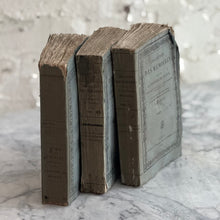 Load image into Gallery viewer, Set Of 3 19th Century French Books