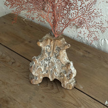 Load image into Gallery viewer, 19th Century French Sea Fan Fragment