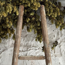 Load image into Gallery viewer, Late 19th Century French Apple Ladders