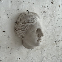 Load image into Gallery viewer, Late 19th Century Venus de Milo Plaster Head