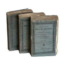 Load image into Gallery viewer, Set Of 3 19th Century French Books