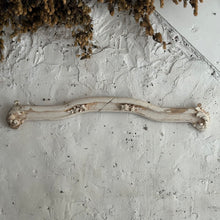 Load image into Gallery viewer, Early 19th Century French Wooden Pediment