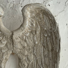 Load image into Gallery viewer, French Plâtre Wings