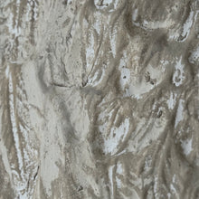 Load image into Gallery viewer, French Plâtre Wings