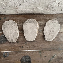 Load image into Gallery viewer, Set Of 3 19th Century French Plaster Fragments