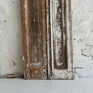 Pair Of 19th Century French Shutter Panels