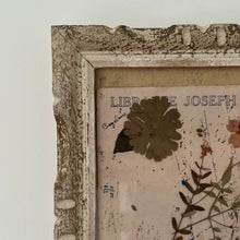 Load image into Gallery viewer, 19th Century French Framed Herbarium