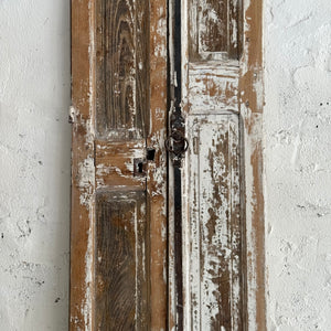 Pair Of 19th Century French Shutter Panels