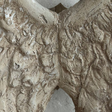 Load image into Gallery viewer, French Plâtre Wings