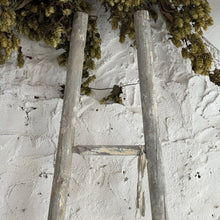Load image into Gallery viewer, Late 19th Century French Apple Ladders