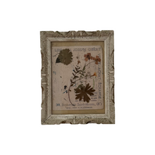 Load image into Gallery viewer, 19th Century French Framed Herbarium