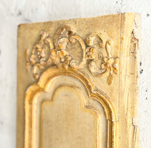 Load image into Gallery viewer, Early 19th Century French Boiserie Fragment