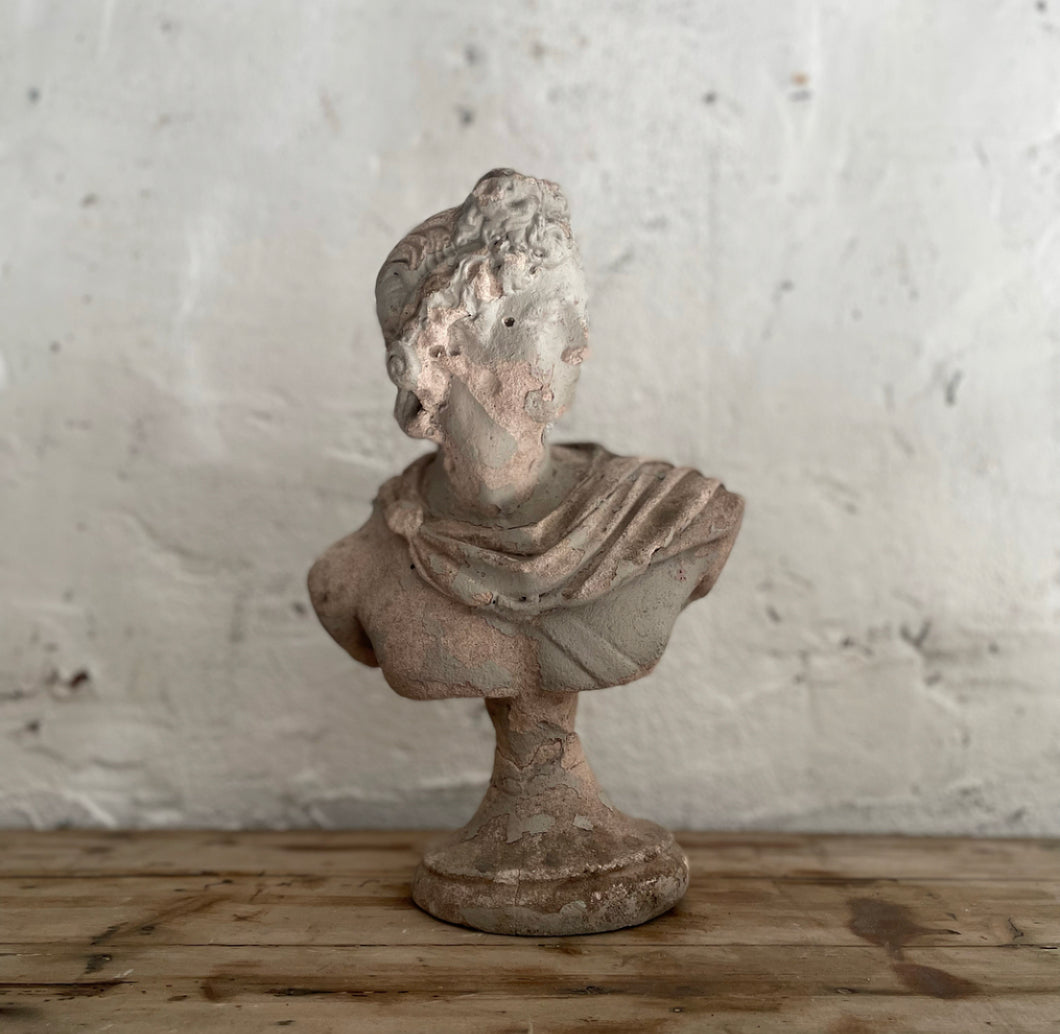 20th Century Bust Of Apollo Belvedere