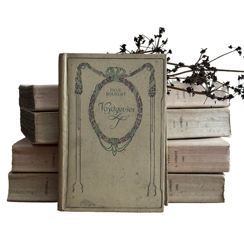 19th Century French Nelson Book