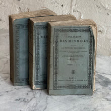 Load image into Gallery viewer, Set Of 3 19th Century French Books