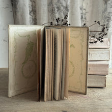 Load image into Gallery viewer, 19th Century French Nelson Book