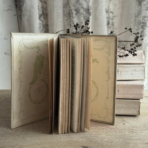 19th Century French Nelson Book