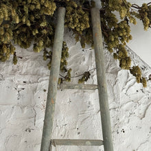 Load image into Gallery viewer, Late 19th Century French Apple Ladders
