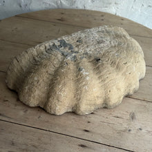 Load image into Gallery viewer, Late 19th Century French Stone Shell