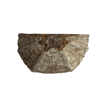 Load image into Gallery viewer, Late 18th Century French Wooden Wall Fragment
