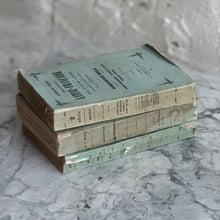 Load image into Gallery viewer, Set Of 3 19th Century French Books
