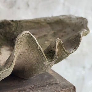 20th Century French Clam Shell